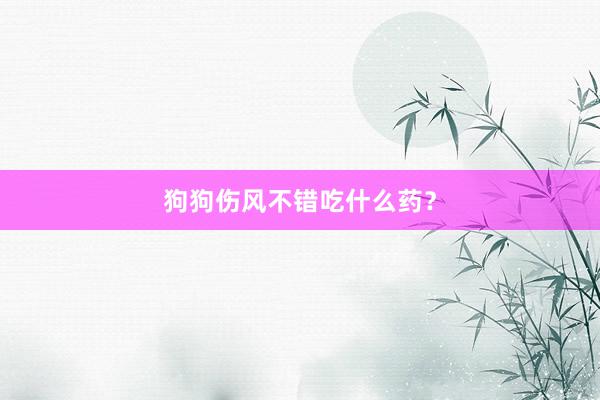 狗狗伤风不错吃什么药？
